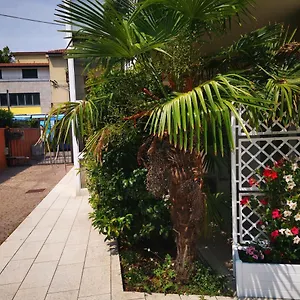 Zen 2 Padova